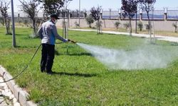 Kahramanmaraş’ta İlaçlama ve Dezenfeksiyon Seferberliği