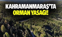 Kahramanmaraş’ta orman yasağı!