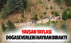 Yavşan Yaylası Doğaseverleri Hayran Bıraktı