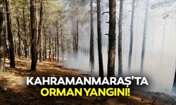 Kahramanmaraş’ta orman yangını!