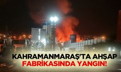 Kahramanmaraş'ta ahşap fabrikasında yangın!