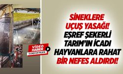 Sineklere uçuş yasağı! Eşref Şekerli tarım’ın icadı hayvanlara rahat bir nefes aldırdı!