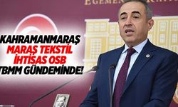 Kahramanmaraş Tekstil İhtisas OSB TBMM gündeminde!