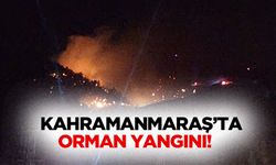 Kahramanmaraş’ta Orman Yangını