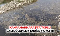 Kahramanmaraş’ta toplu balık ölümleri endişe yarattı!