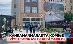 Kahramanmaraş'ta köpeğe eziyet sonrası gereği yapıldı!