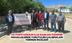 Ak Parti Göksun İlçe Başkanı Özdemir, Mahallelerde Yürütülen Çalışmaları Yerinde İnceledi!