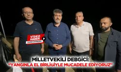Milletvekili Debgici: “Yangınla el birliğiyle mücadele ediyoruz”