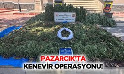 Pazarcık’ta kenevir operasyonu!