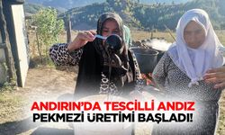 Andırın’da tescilli Andız Pekmezi üretimi başladı!