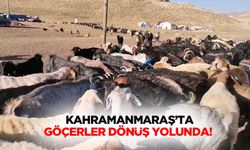 Kahramanmaraş’ta göçerler dönüş yolunda!