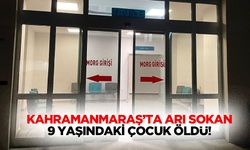 Kahramanmaraş’ta arı sokan 9 yaşındaki çocuk öldü!