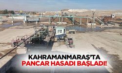 Kahramanmaraş’ta pancar hasadı başladı!