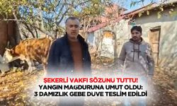 Şekerli Vakfı sözünü tuttu! Yangın mağduruna umut oldu: 3 damızlık gebe düve teslim edildi
