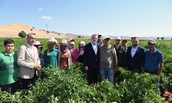 Kahramanmaraş Büyükşehir’den 2025’te Çiftçiye 100 Milyonluk Destek, Üretime Güç