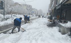 Büyükşehir, Yürüyüş Yollarını da Temizliyor!