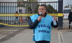 Afşin-Elbistan A Termik Santrali’ndeki sorunlar TBMM gündeminde!