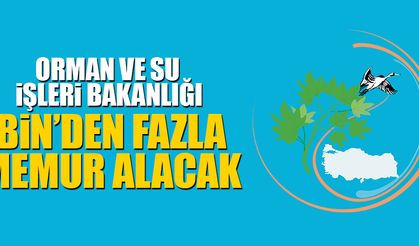 Orman ve Su İşleri Bakanlığı Bin'den fazla memur alımı yapacak