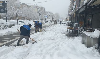 Büyükşehir, Yürüyüş Yollarını da Temizliyor!
