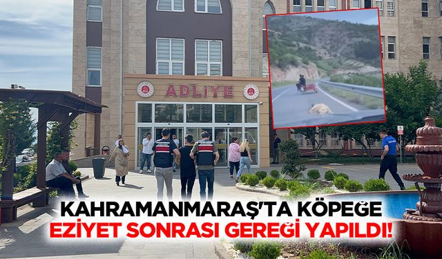 Kahramanmaraş'ta köpeğe eziyet sonrası gereği yapıldı!