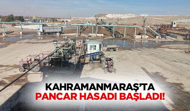 Kahramanmaraş’ta pancar hasadı başladı!