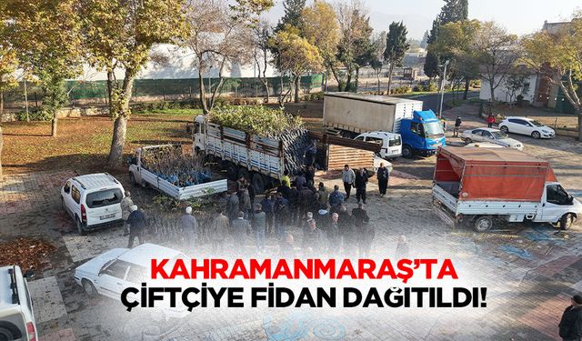 Kahramanmaraş’ta çiftçiye fidan dağıtıldı!