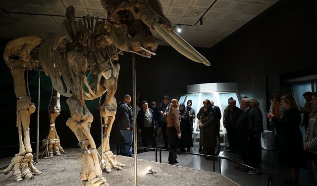 Kahramanmaraş Büyükşehir, Ulu Çınarları Tarihle Buluşturdu!