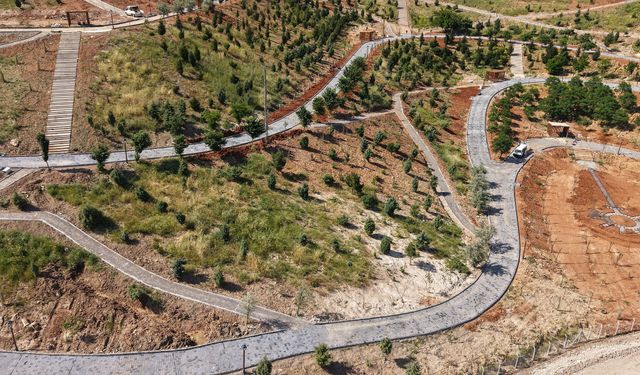 Büyükşehir’in ‘Yeşil Dönüşüm’ Hamlesi Karbon Yutak Alanı’nda Çalışmalar Sürüyor