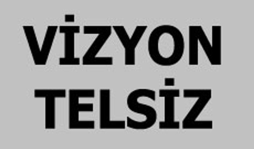 Vizyon Telsiz