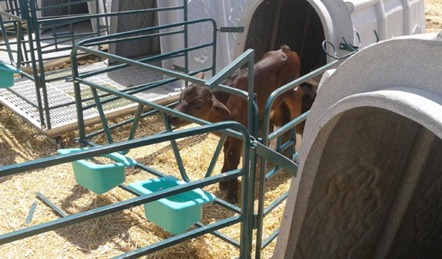 DEMİRİŞ Buzağı kulübesi imalatı Konya