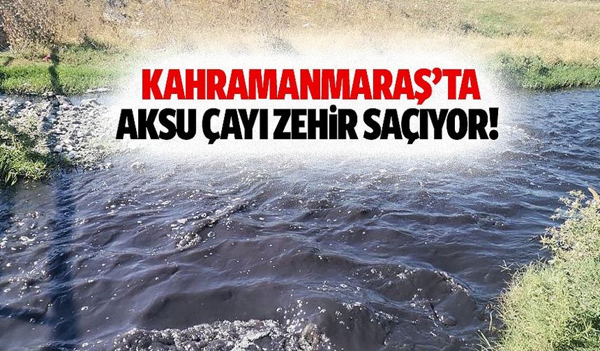 Kahramanmaraş’ta Aksu çayı zehir saçıyor!