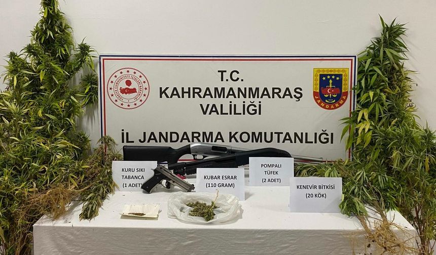 Kahramanmaraş’ta evinde kenevir yetiştirdi yakalandı