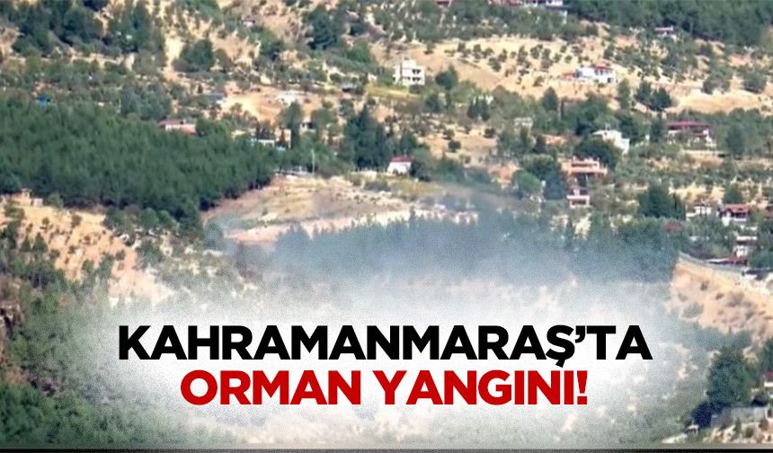 Kahramanmaraş’ta orman yangını!