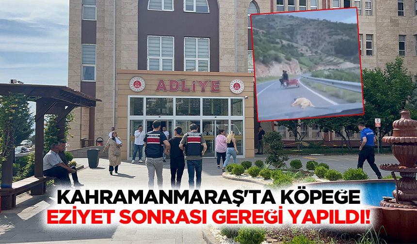 Kahramanmaraş'ta köpeğe eziyet sonrası gereği yapıldı!
