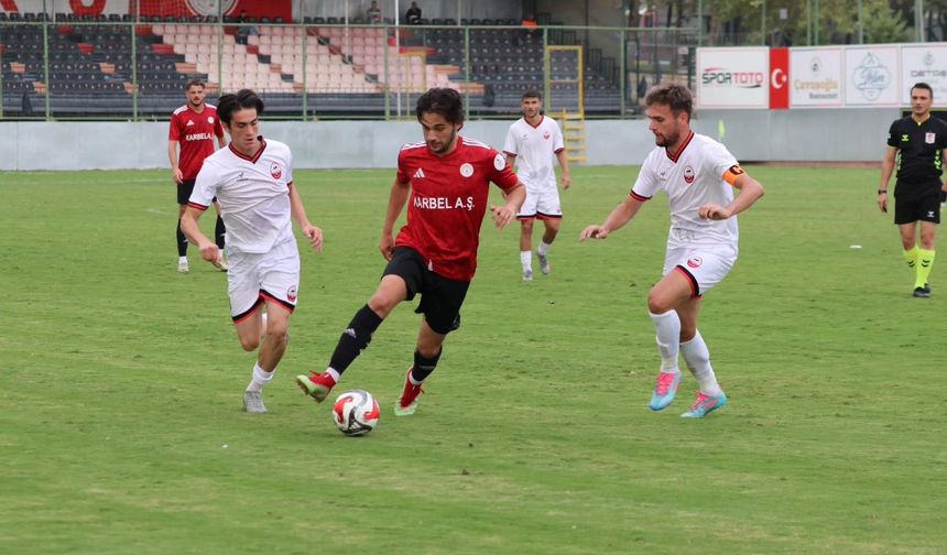 Aslan köprüyü aşamadı!