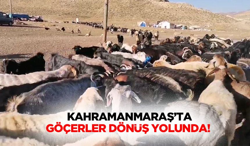 Kahramanmaraş’ta göçerler dönüş yolunda!