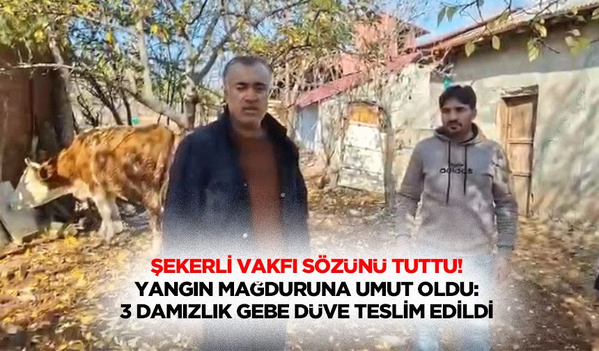 Şekerli Vakfı sözünü tuttu! Yangın mağduruna umut oldu: 3 damızlık gebe düve teslim edildi